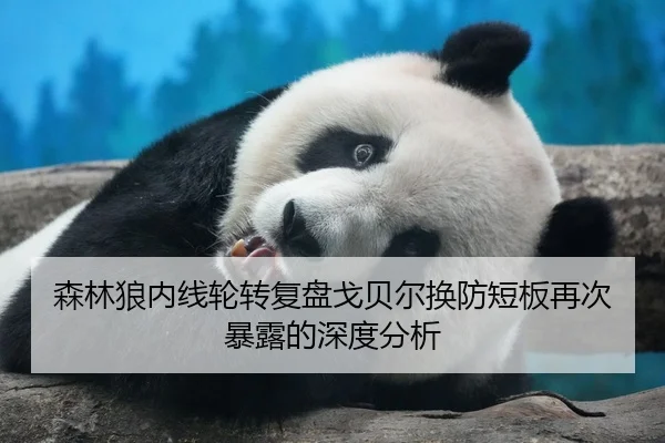 森林狼内线轮转复盘戈贝尔换防短板再次暴露的深度分析 - Kaiyun FIFA WorldCup