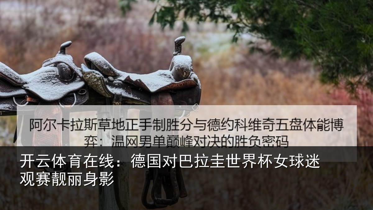 开云体育在线:德国对巴拉圭世界杯女球迷观赛靓丽身影