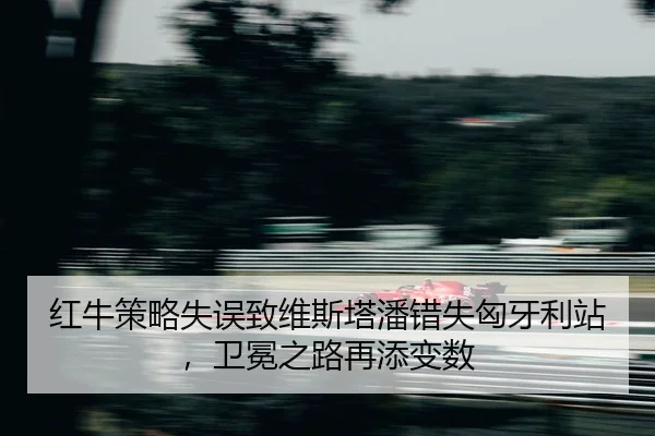 hong-niu-ce-lve-shi-wu-zhi-wei-si-ta-pan-cuo-shi-xiong-ya-li-zhan-wei-mian-zhi-lu-zai-tian-bian-shu-2-860.jpg
