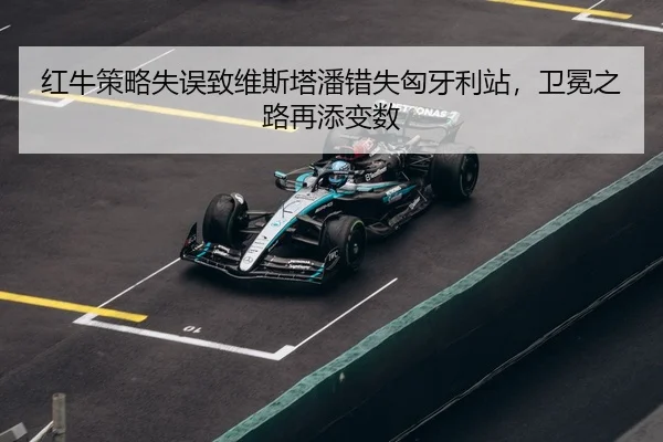 hong-niu-ce-lve-shi-wu-zhi-wei-si-ta-pan-cuo-shi-xiong-ya-li-zhan-wei-mian-zhi-lu-zai-tian-bian-shu-3-476.jpg
