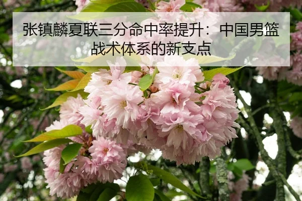 zhang-zhen-lin-xia-lian-san-fen-ming-zhong-lv-ti-sheng-zhong-guo-nan-lan-zhan-shu-ti-xi-de-xin-zhi-dian-3-827.jpg