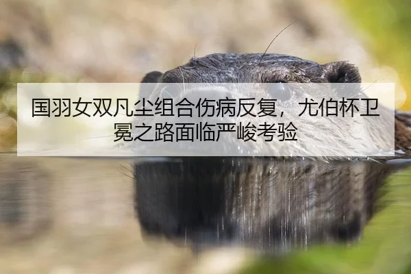 国羽女双凡尘组合伤病反复，尤伯杯卫冕之路面临严峻考验