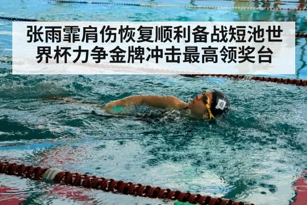 张雨霏肩伤恢复顺利备战短池世界杯力争金牌冲击最高领奖台